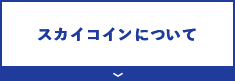 SKYコインについて